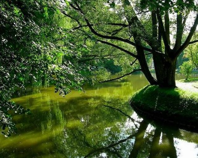 Zdjęcia: Nałęczów, lubelszczyzna, Nałęczowski park - dzisiaj bardziej zielony, POLSKA Zdjęcia: Nałęczów, lubelszczyzna, Nałęczowski park - dzisiaj bardziej zielony, POLSKA