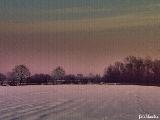 Zdjęcia: KOTOWICE, dolnyśląsk, ZIMOWO, POLSKA Zdjęcia: KOTOWICE, dolnyśląsk, ZIMOWO, POLSKA