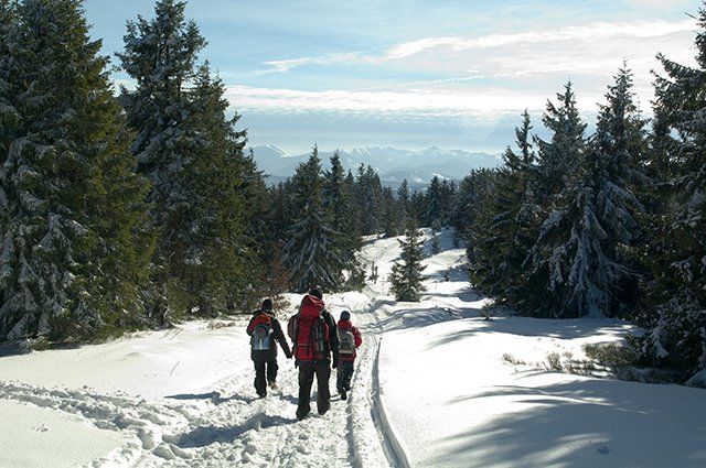 Zdjęcia: czerwony szlak z Wielkiej Raczy, Beskid Żywiecki, W drodze na Przegibek, POLSKA Zdjęcia: czerwony szlak z Wielkiej Raczy, Beskid Żywiecki, W drodze na Przegibek, POLSKA