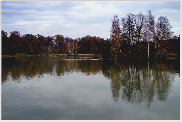 Zdjęcia: WILCZYN LEŚNY, dolnyśląsk, NAD JEZIOREM, POLSKA Zdjęcia: WILCZYN LEŚNY, dolnyśląsk, NAD JEZIOREM, POLSKA