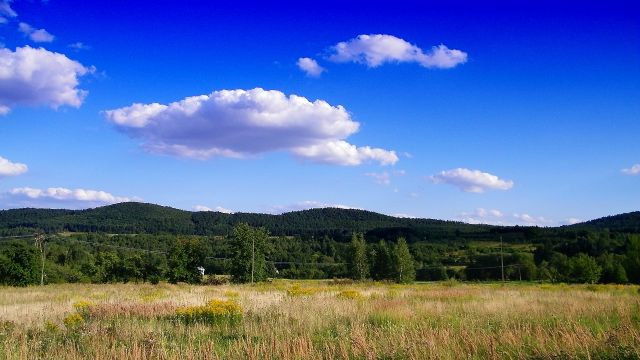 Zdjęcia: POD SOBÓTKĄ, dolnyśląsk, :-)), POLSKA Zdjęcia: POD SOBÓTKĄ, dolnyśląsk, :-)), POLSKA