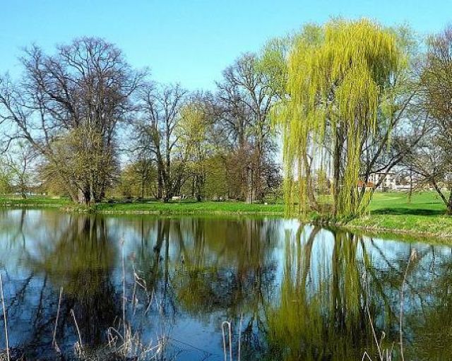 Zdjęcia: Wierzchowiska, lubelszczyzna, W Wierzchowiskach, POLSKA Zdjęcia: Wierzchowiska, lubelszczyzna, W Wierzchowiskach, POLSKA