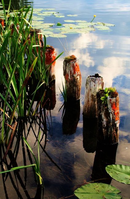 Zdjęcia: Węgorzewo, Mazury, Stara przystań, POLSKA Zdjęcia: Węgorzewo, Mazury, Stara przystań, POLSKA