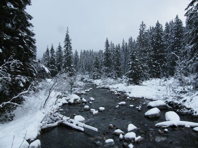 Zdjęcia: okolice morskiego oka, tatry, zima w tatrach, POLSKA Zdjęcia: okolice morskiego oka, tatry, zima w tatrach, POLSKA