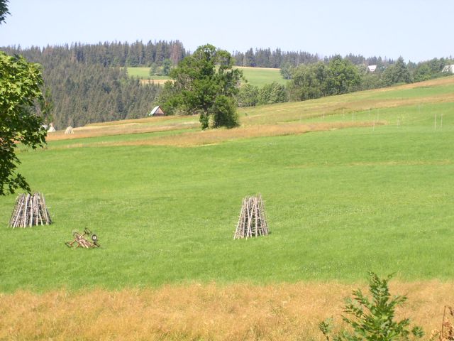 Zdjęcia: Zakopane, Zakopane, Widok z okna, POLSKA Zdjęcia: Zakopane, Zakopane, Widok z okna, POLSKA