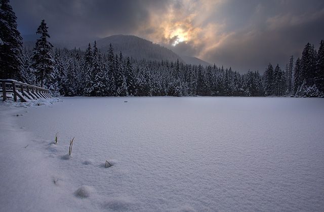 Zdjęcia: Smreczynski Staw, Tatry, Smreczynski Staw, POLSKA Zdjęcia: Smreczynski Staw, Tatry, Smreczynski Staw, POLSKA