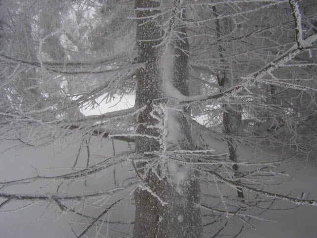 Zdjęcia: błatnia, beskid śląski, zima, POLSKA Zdjęcia: błatnia, beskid śląski, zima, POLSKA