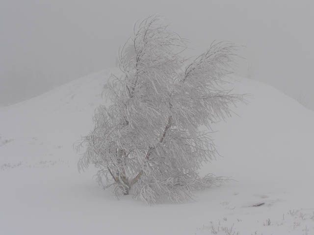 Zdjęcia: błatnia, beskid śląski, zima, POLSKA Zdjęcia: błatnia, beskid śląski, zima, POLSKA