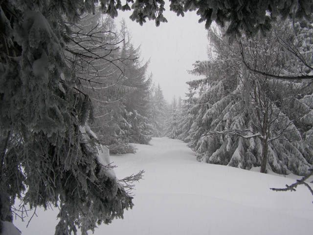 Zdjęcia: błatnia, beskid śląski, zima, POLSKA Zdjęcia: błatnia, beskid śląski, zima, POLSKA