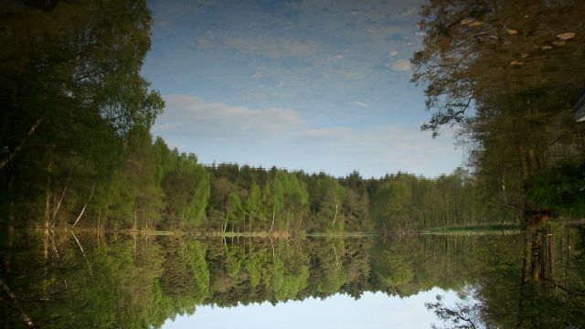 Zdjęcia: Rudniki, Jura Krakowsko Częstochowska, KONKURS \, POLSKA Zdjęcia: Rudniki, Jura Krakowsko Częstochowska, KONKURS \, POLSKA
