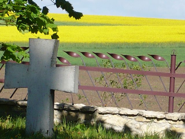 Zdjęcia: Pilica, Jura Krakowsko Częstochowska, KONKURS "Szukamy śladów wiosny", POLSKA Zdjęcia: Pilica, Jura Krakowsko Częstochowska, KONKURS "Szukamy śladów wiosny", POLSKA