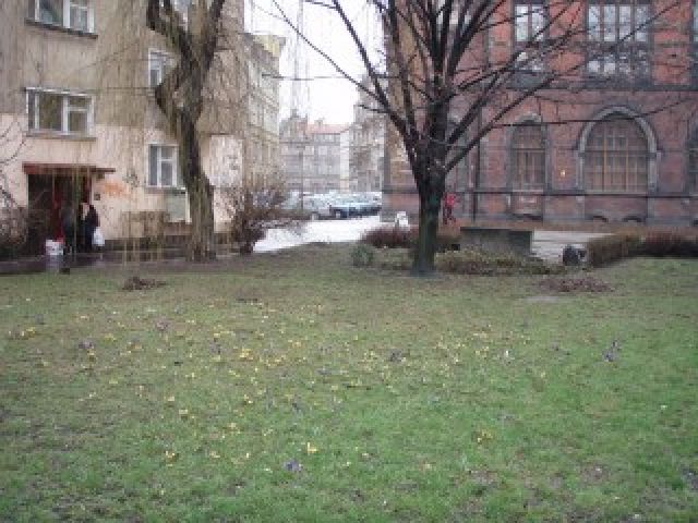Zdjęcia: Wrocław, Konkurs , POLSKA Zdjęcia: Wrocław, Konkurs , POLSKA