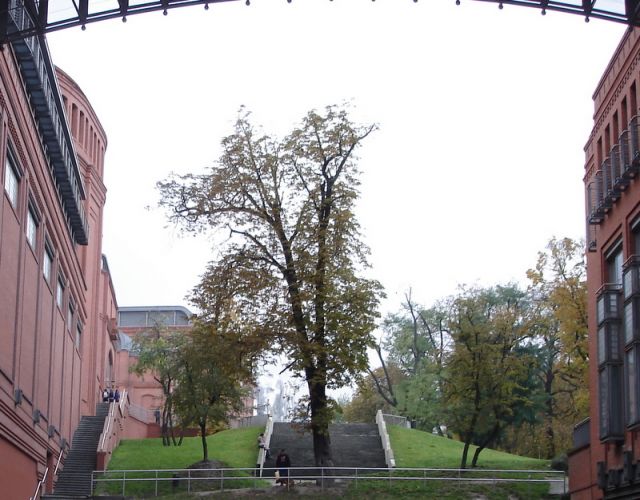 Zdjęcia: poznań, wielkopolska, pomiędzy, POLSKA Zdjęcia: poznań, wielkopolska, pomiędzy, POLSKA