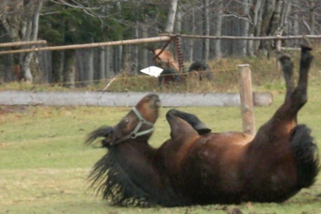 Zdjęcia: Beskidy, gdzieś w Beskidach, KONKURS-WIOSNA-nareszcie można szaleć, POLSKA Zdjęcia: Beskidy, gdzieś w Beskidach, KONKURS-WIOSNA-nareszcie można szaleć, POLSKA