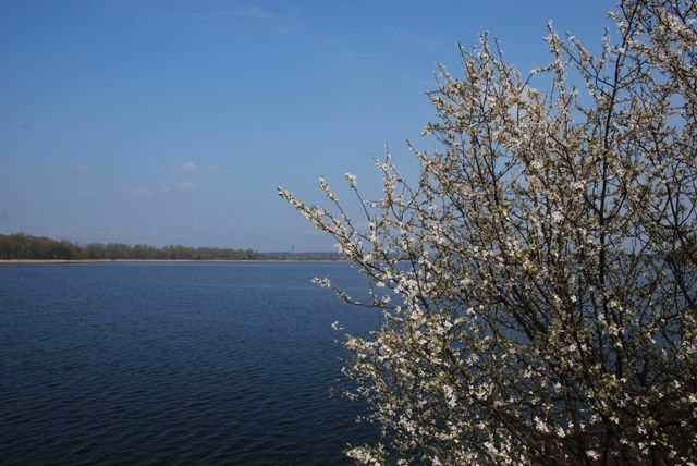Zdjęcia: Pławniowice, Śląsk, Konkurs- Jezioro Pławniowickie wiosną, POLSKA Zdjęcia: Pławniowice, Śląsk, Konkurs- Jezioro Pławniowickie wiosną, POLSKA