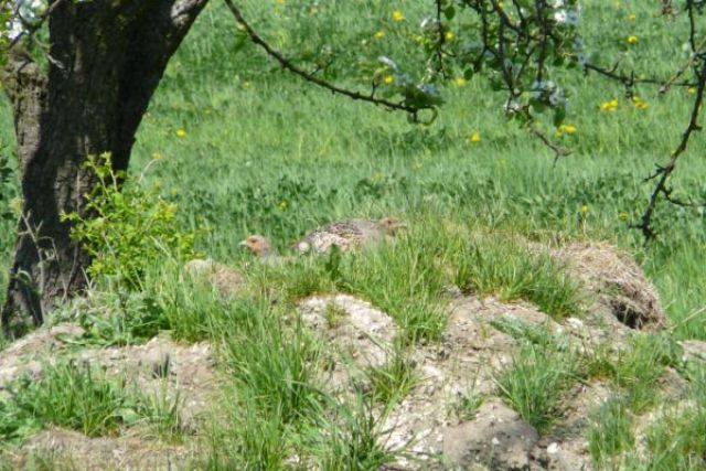 Zdjęcia: świętokrzyskie, KONKURS - może nas nie  widać!, POLSKA Zdjęcia: świętokrzyskie, KONKURS - może nas nie  widać!, POLSKA