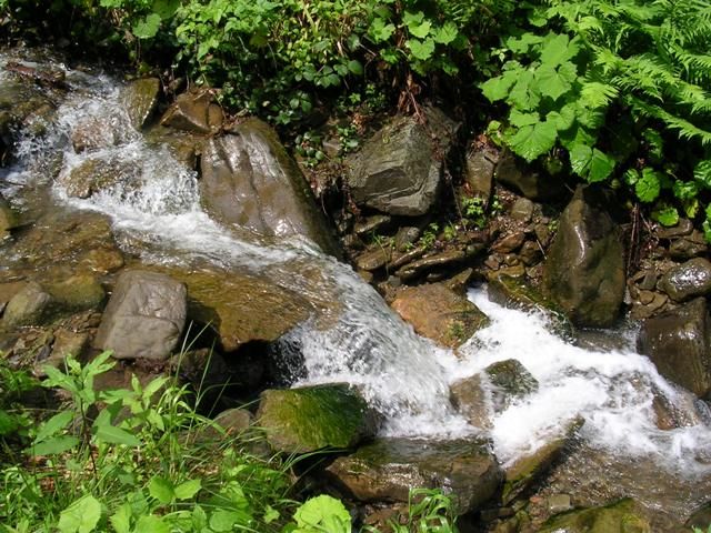 Zdjęcia: gdzieś na szlaku ..., Tatry, kojący szum górskiego potoku..., POLSKA Zdjęcia: gdzieś na szlaku ..., Tatry, kojący szum górskiego potoku..., POLSKA