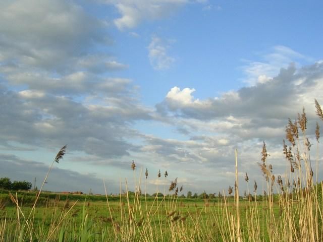 Zdjęcia: okolice Tyńca, małopolska, cisza..., POLSKA Zdjęcia: okolice Tyńca, małopolska, cisza..., POLSKA