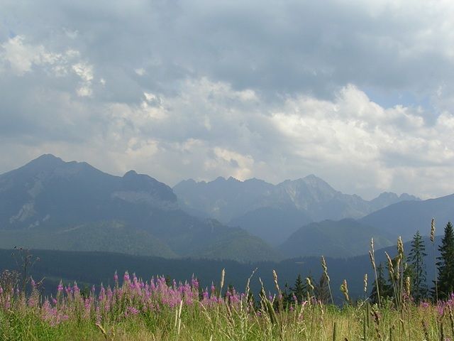Zdjęcia: Głodówka, Tatry, moje wędrówki po Tatrach...czyli Tatry z Głodówki, POLSKA Zdjęcia: Głodówka, Tatry, moje wędrówki po Tatrach...czyli Tatry z Głodówki, POLSKA