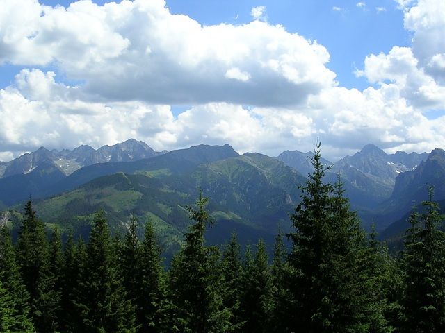 Zdjęcia: Tatry, Tatry, moje wędrówki po Tatrach...tatrzańskie kolory, POLSKA Zdjęcia: Tatry, Tatry, moje wędrówki po Tatrach...tatrzańskie kolory, POLSKA