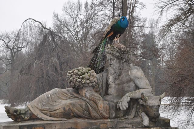 Zdjęcia: Park Łazienkowski, bez tytułu, POLSKA Zdjęcia: Park Łazienkowski, bez tytułu, POLSKA