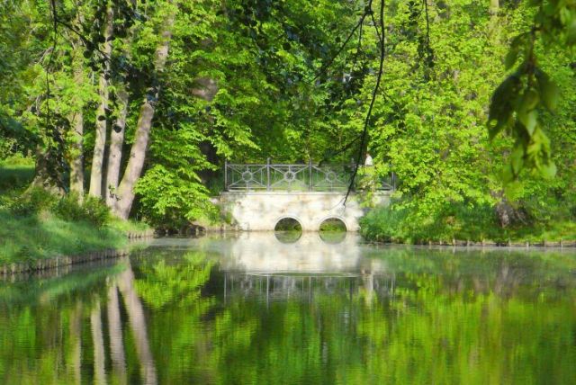 Zdjęcia: Pszczyna, śląskie, wiosna w parku pszczyńskim, POLSKA Zdjęcia: Pszczyna, śląskie, wiosna w parku pszczyńskim, POLSKA