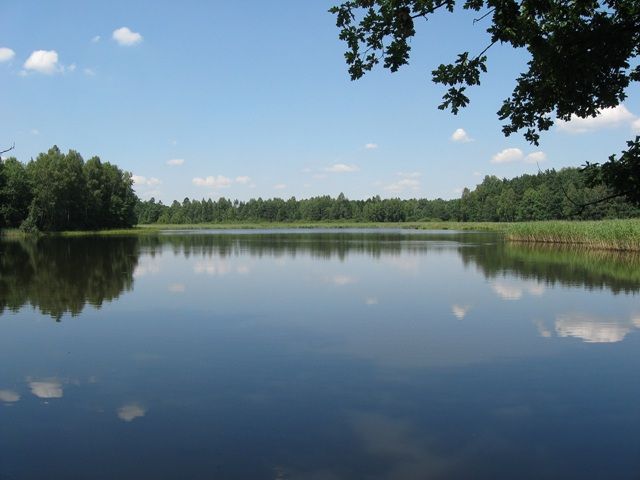Zdjęcia: gdzieś nad wodą ..., Śląsk, moje wędrowanie po Górnym Śląsku ...lustereczko..., POLSKA Zdjęcia: gdzieś nad wodą ..., Śląsk, moje wędrowanie po Górnym Śląsku ...lustereczko..., POLSKA