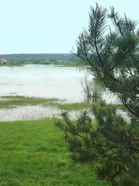 Zdjęcia: Brody, okolice Ostrowca Świetokrzyskiego, wiosenna powódź 2010, POLSKA Zdjęcia: Brody, okolice Ostrowca Świetokrzyskiego, wiosenna powódź 2010, POLSKA