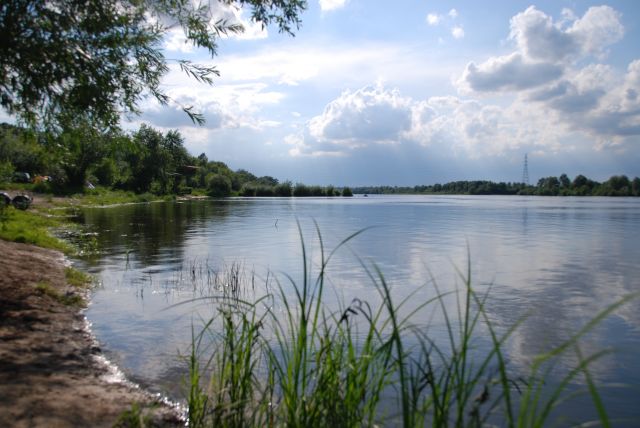Zdjęcia: Nowy Dwór Mazowiecki, Mazowsze, Wycieczka nad Narew, POLSKA Zdjęcia: Nowy Dwór Mazowiecki, Mazowsze, Wycieczka nad Narew, POLSKA