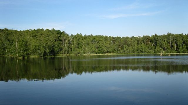 Zdjęcia: Mazowiecki Park Krajobrazowy, Mazowsze, Rezerwat Torfy, POLSKA Zdjęcia: Mazowiecki Park Krajobrazowy, Mazowsze, Rezerwat Torfy, POLSKA