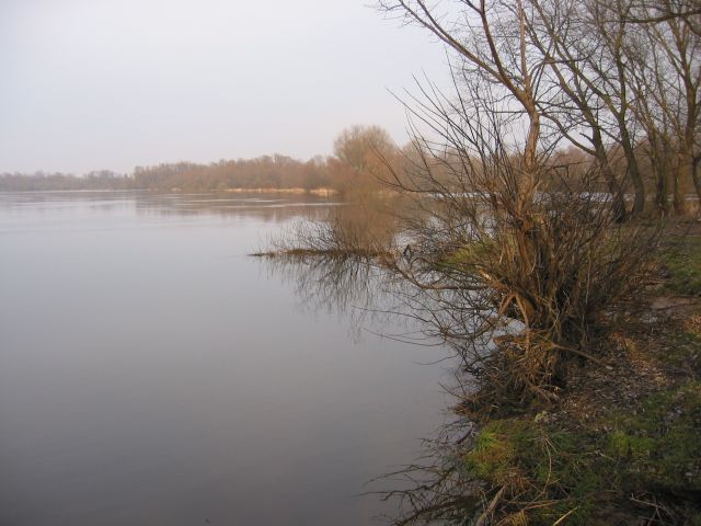 Zdjęcia: Narew, Mazowieckie, Przedwiośnie nad Narwią, POLSKA Zdjęcia: Narew, Mazowieckie, Przedwiośnie nad Narwią, POLSKA