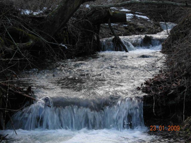 Zdjęcia: Pod Jawornikiem, Bieszczady, Potok, POLSKA Zdjęcia: Pod Jawornikiem, Bieszczady, Potok, POLSKA