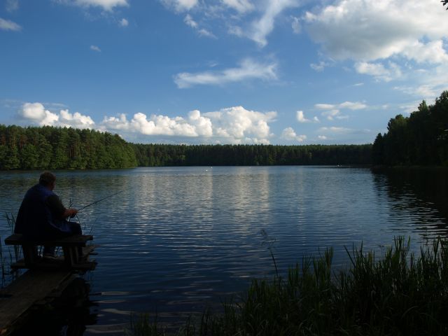 Zdjęcia: gdzieś w lesie -Bartoszylas, Kaszuby, ale spokój, POLSKA Zdjęcia: gdzieś w lesie -Bartoszylas, Kaszuby, ale spokój, POLSKA
