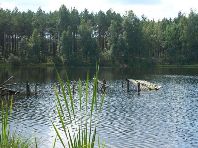 Zdjęcia: bartoszylas, kaszuby, pomościk 7, POLSKA Zdjęcia: bartoszylas, kaszuby, pomościk 7, POLSKA