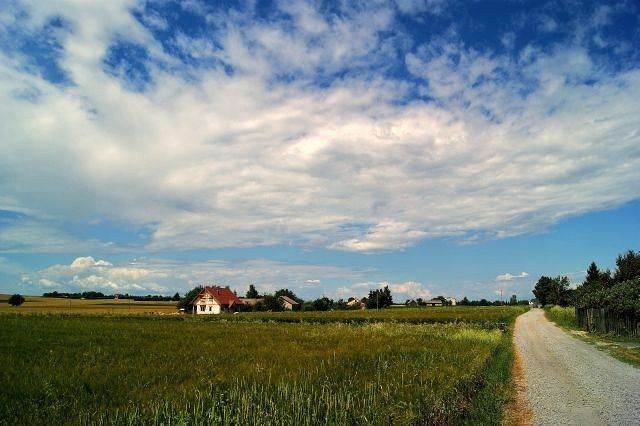 Zdjęcia: Wierzchowiska, lubelszczyzna, Malownicza wieś - Wierzchowiska, POLSKA Zdjęcia: Wierzchowiska, lubelszczyzna, Malownicza wieś - Wierzchowiska, POLSKA
