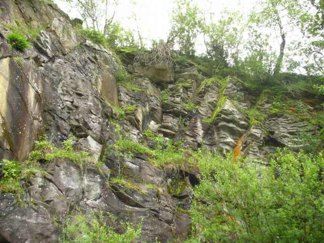 Zdjęcia: Koniaków, Beskid Sląski, stary kamieniołom, POLSKA Zdjęcia: Koniaków, Beskid Sląski, stary kamieniołom, POLSKA