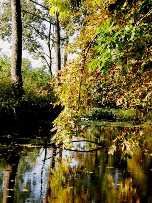 Zdjęcia: Park Romantyczny w Arkadii, łodzkie, Jesienne obrazki z Arkadii, POLSKA Zdjęcia: Park Romantyczny w Arkadii, łodzkie, Jesienne obrazki z Arkadii, POLSKA