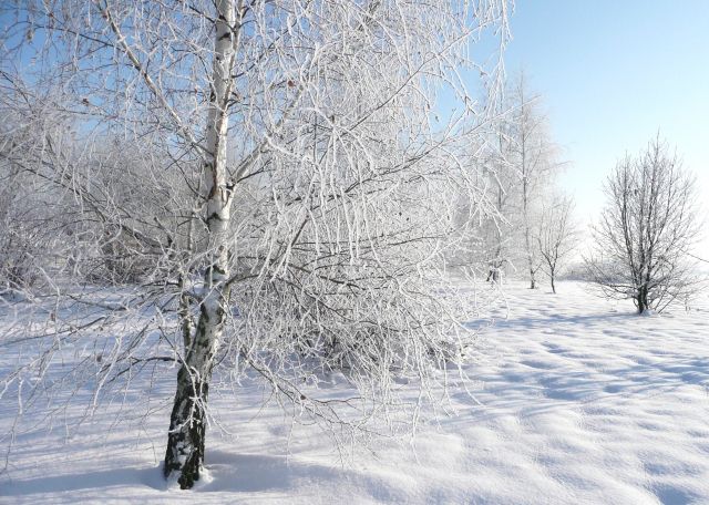 Zdjęcia: Kunice, Dolny Śląsk, Zagajnik, POLSKA Zdjęcia: Kunice, Dolny Śląsk, Zagajnik, POLSKA