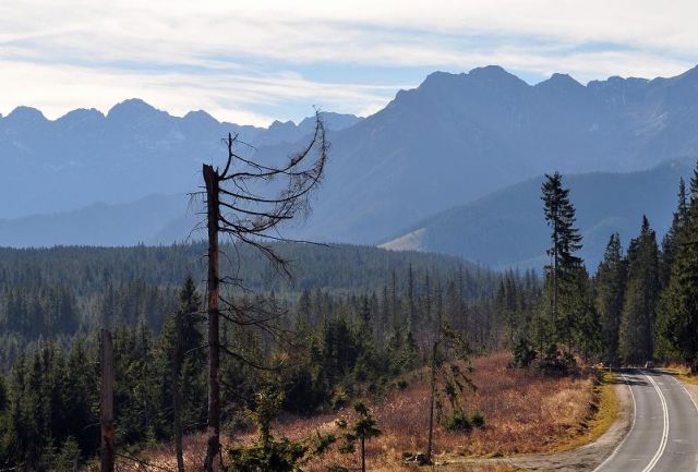 Zdjęcia: Głodówka Brzegi, Małopolska, Widok na Tatry, POLSKA Zdjęcia: Głodówka Brzegi, Małopolska, Widok na Tatry, POLSKA