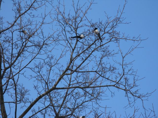 Zdjęcia: Jelenia Góra, Cieplice , Odpoczynek, POLSKA Zdjęcia: Jelenia Góra, Cieplice , Odpoczynek, POLSKA