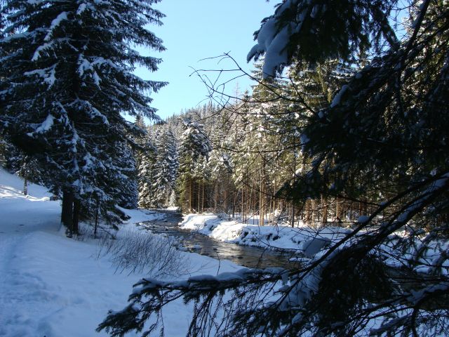 Zdjęcia: Dolina Chochołowska, Tatry, Potok Chochołowski, POLSKA Zdjęcia: Dolina Chochołowska, Tatry, Potok Chochołowski, POLSKA
