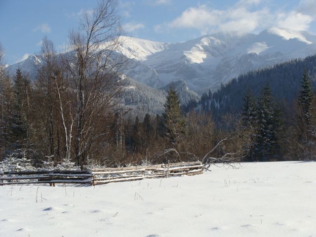 Zdjęcia: Za Dol. Kościeliską, Tatry, w kierunku Dol.Lejowej, POLSKA Zdjęcia: Za Dol. Kościeliską, Tatry, w kierunku Dol.Lejowej, POLSKA