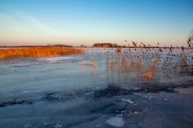 Zdjęcia: okolice Dolistowa, Biebrza, Biebrza, POLSKA Zdjęcia: okolice Dolistowa, Biebrza, Biebrza, POLSKA