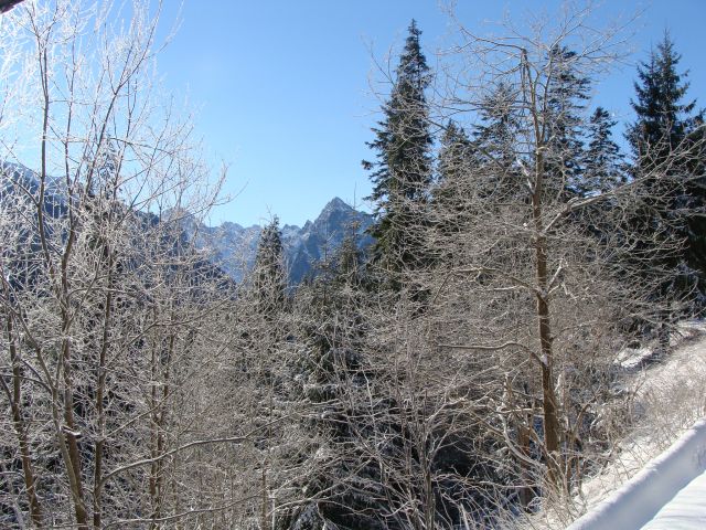 Zdjęcia: Dolina Białki, Tatry, Mróz, POLSKA Zdjęcia: Dolina Białki, Tatry, Mróz, POLSKA
