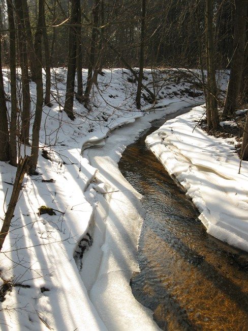 Zdjęcia: Mazowiecki Park Krajobrazowy, Mazowsze, Pogorzelska Struga zimą, POLSKA Zdjęcia: Mazowiecki Park Krajobrazowy, Mazowsze, Pogorzelska Struga zimą, POLSKA