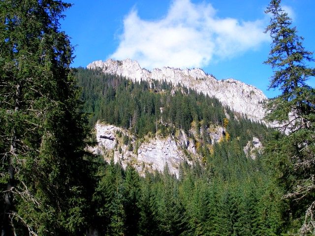 Zdjęcia: Tatry, Karpaty, jesień w Tatrach, POLSKA Zdjęcia: Tatry, Karpaty, jesień w Tatrach, POLSKA