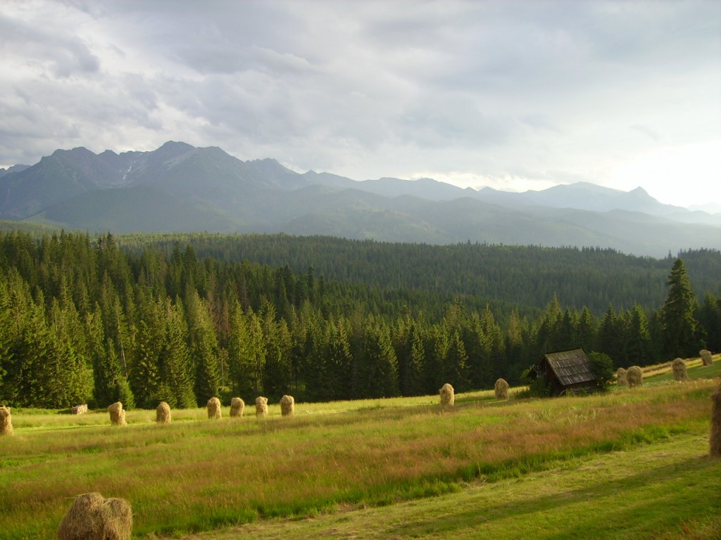Zdjęcia: Głodówka, Zakopane, widok na Tatry z Głodówki, POLSKA Zdjęcia: Głodówka, Zakopane, widok na Tatry z Głodówki, POLSKA
