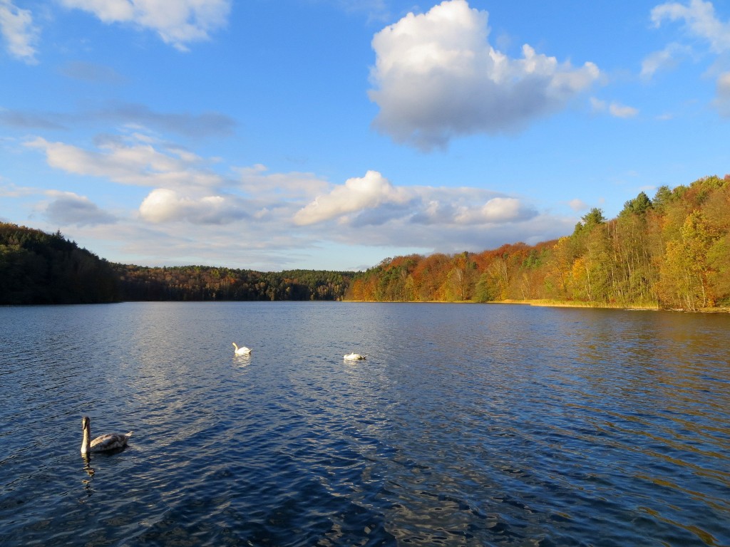 Zdjęcia: Łagów, Lubuskie, jesienią w Łagowie, POLSKA Zdjęcia: Łagów, Lubuskie, jesienią w Łagowie, POLSKA