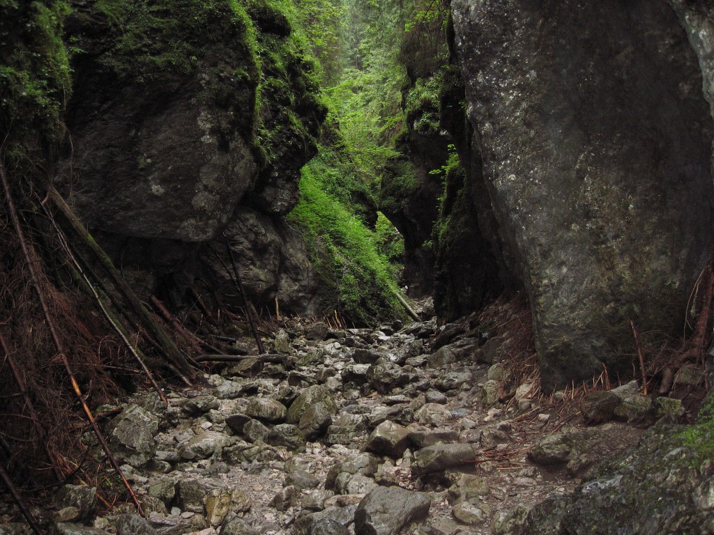 Zdjęcia: Tatry, Wąwóz Kraków, POLSKA Zdjęcia: Tatry, Wąwóz Kraków, POLSKA