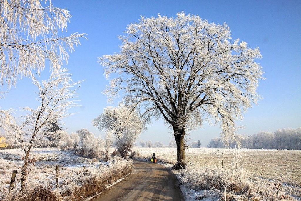 Zdjęcia: Welimowo, Warmia, ZIMA W WELIMOWIE, POLSKA Zdjęcia: Welimowo, Warmia, ZIMA W WELIMOWIE, POLSKA